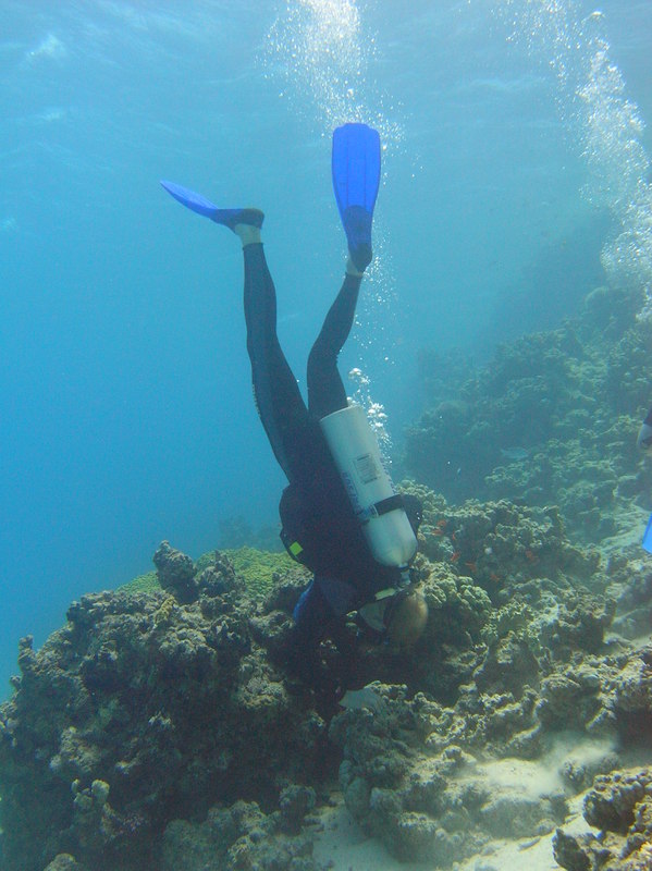 red sea_074.jpg